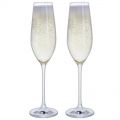 Dartington Just for Two Champagne Flutes