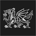 Welsh Dragon