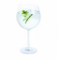 Dartington Single Gin Copa